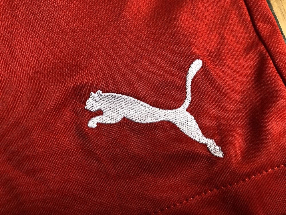 Классные пляжные, спортивные шорты Puma оригинал