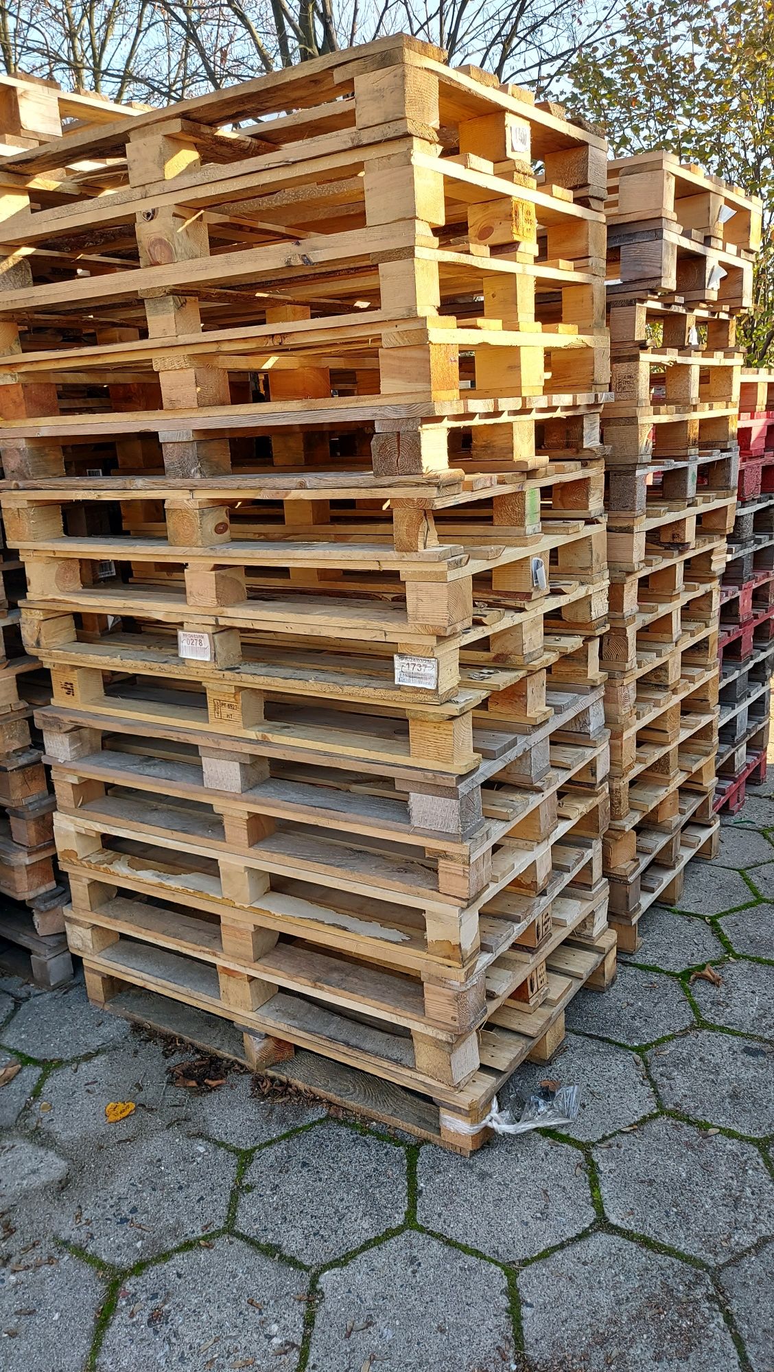 Paleta palety jednorazowe EURO