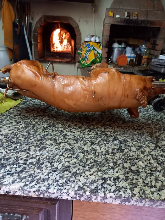 Leitões bizaros cruzados com duroc ara assar ou vivos