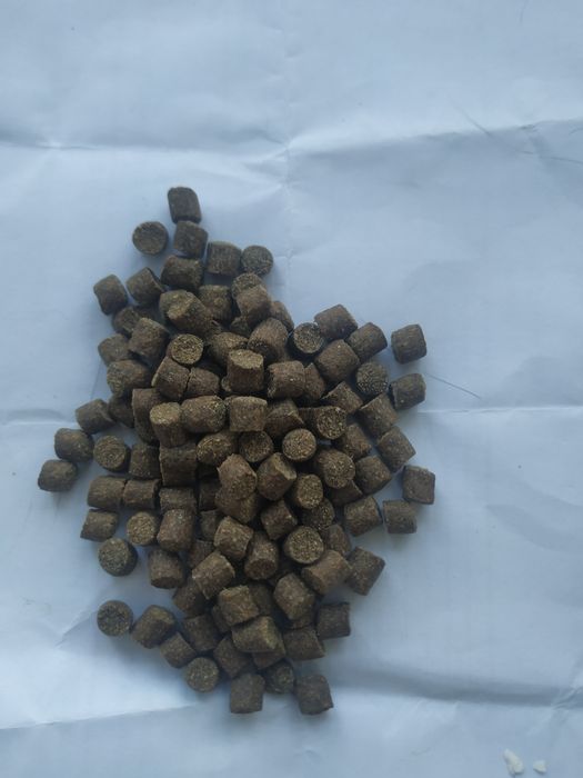 корм для крупніх цихлид aller classik