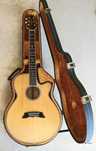 Takamine Guitarra Vintage