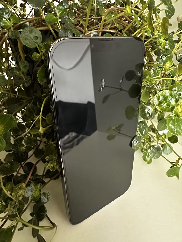 iPhone 13 Pro Max 128GB