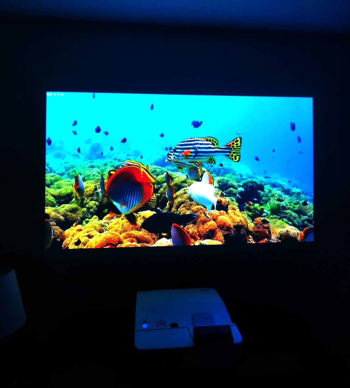 Projektor Nec UM280W