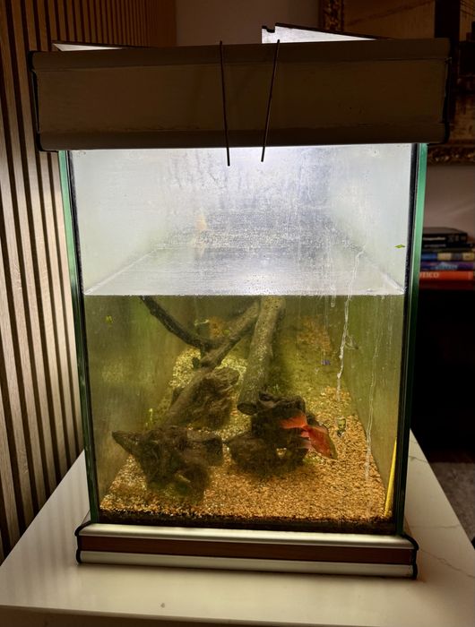 Aquario grande 100% funcional