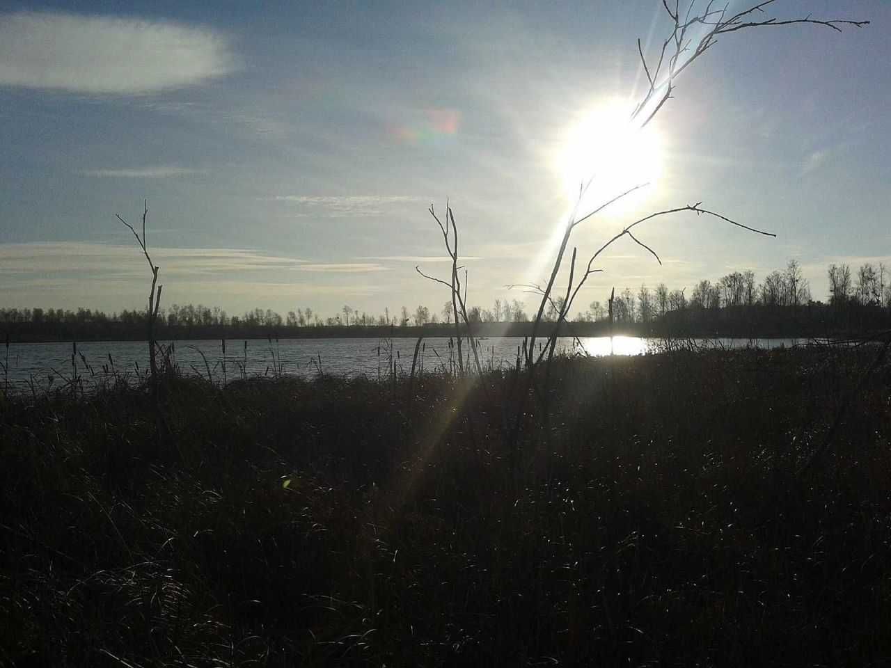 Działki budowlane, różne wielkosci - nad jeziorem, przy lesie.