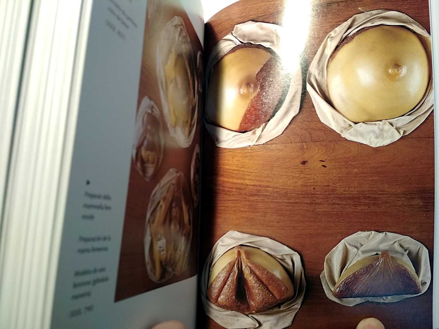 Taschen - Encyclopaedia Anatomica (porte incluído)