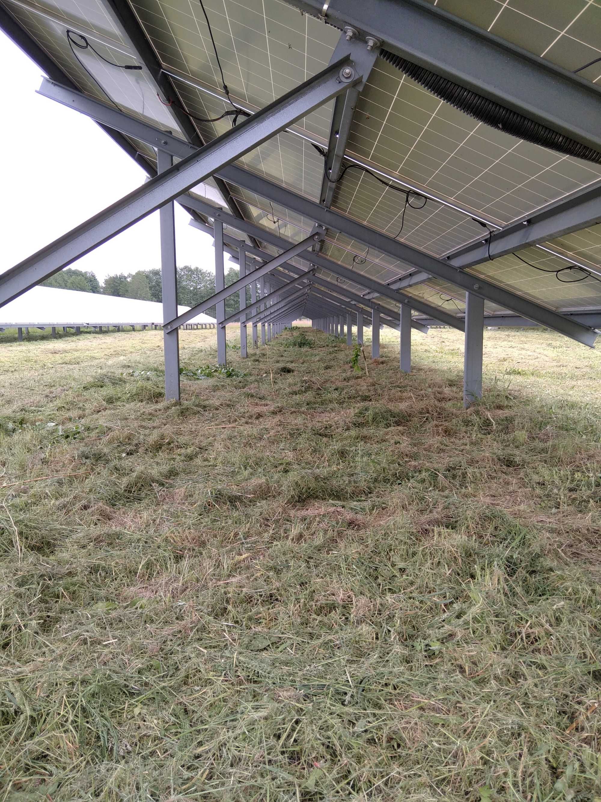 Koszenie Farm Fotowoltaicznych - dokaszanie pasów drogowych