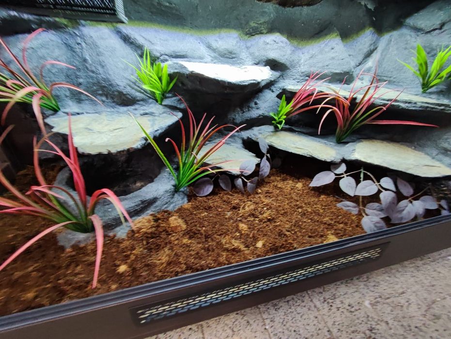 Terrarium 120x50x60 wąż pyton boa PETMARKET