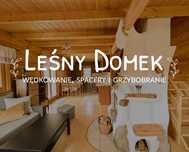 Leśny Domek - na wynajem, w cichej okolicy z sauną i ruską balią