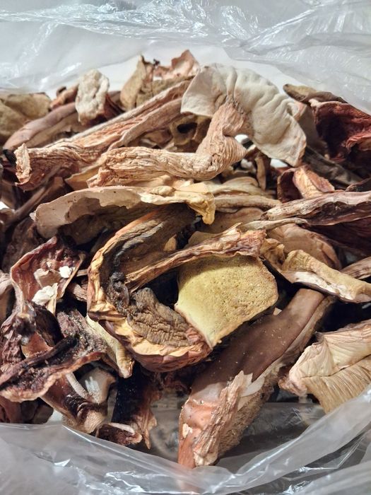 Prawdziwki, borowiki suszone 1kg