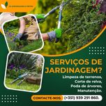 Limpeza de jardim