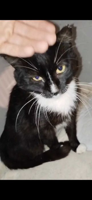 PILNE:wraca na działki!   On ufa i kocha