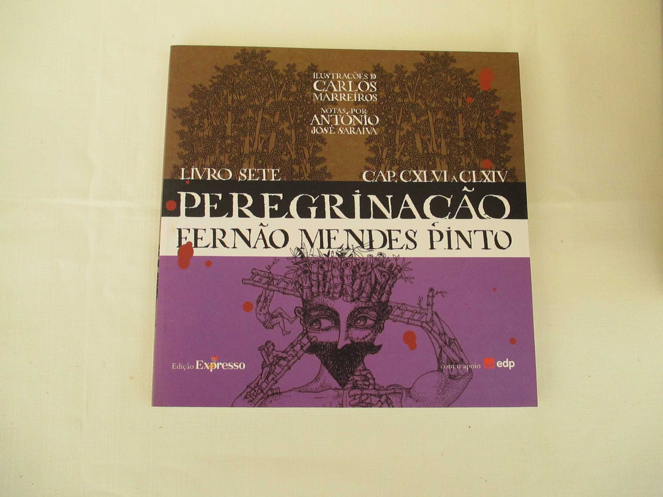 Peregrinação ( Colecção 10 Livros )