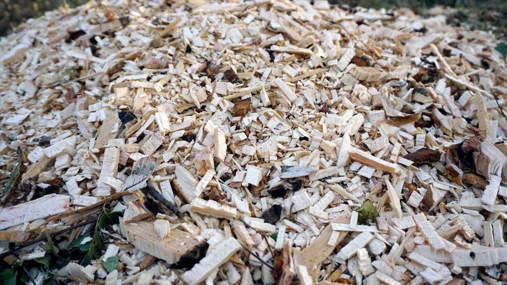 Rębak tarczowy XT62