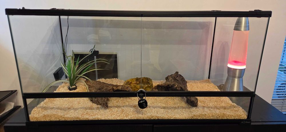 Terrarium dla węża 90x45x45