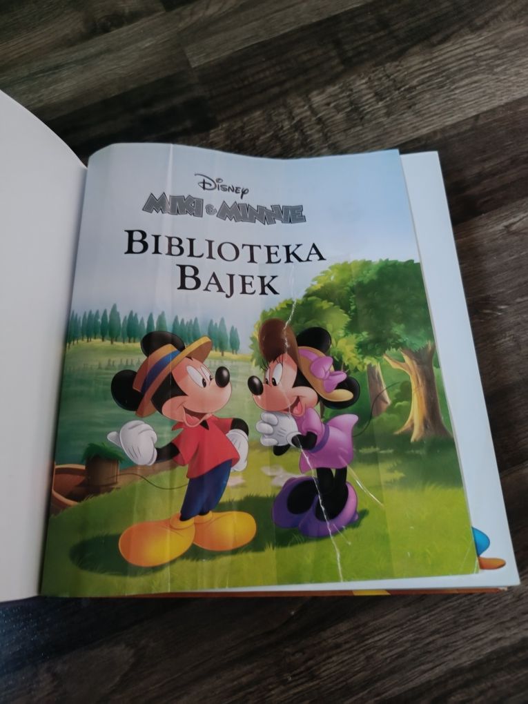 Biblioteka bajek myszka miki