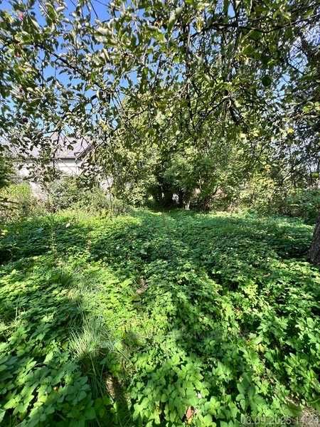 Продаж будинку з великою земельною ділянкою,село Любовичі.Без комісії!