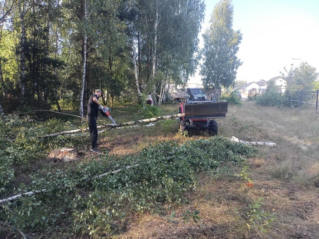 Wycinka drzew ,czyszczenie działek