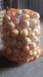 Cebula w workach 15kg