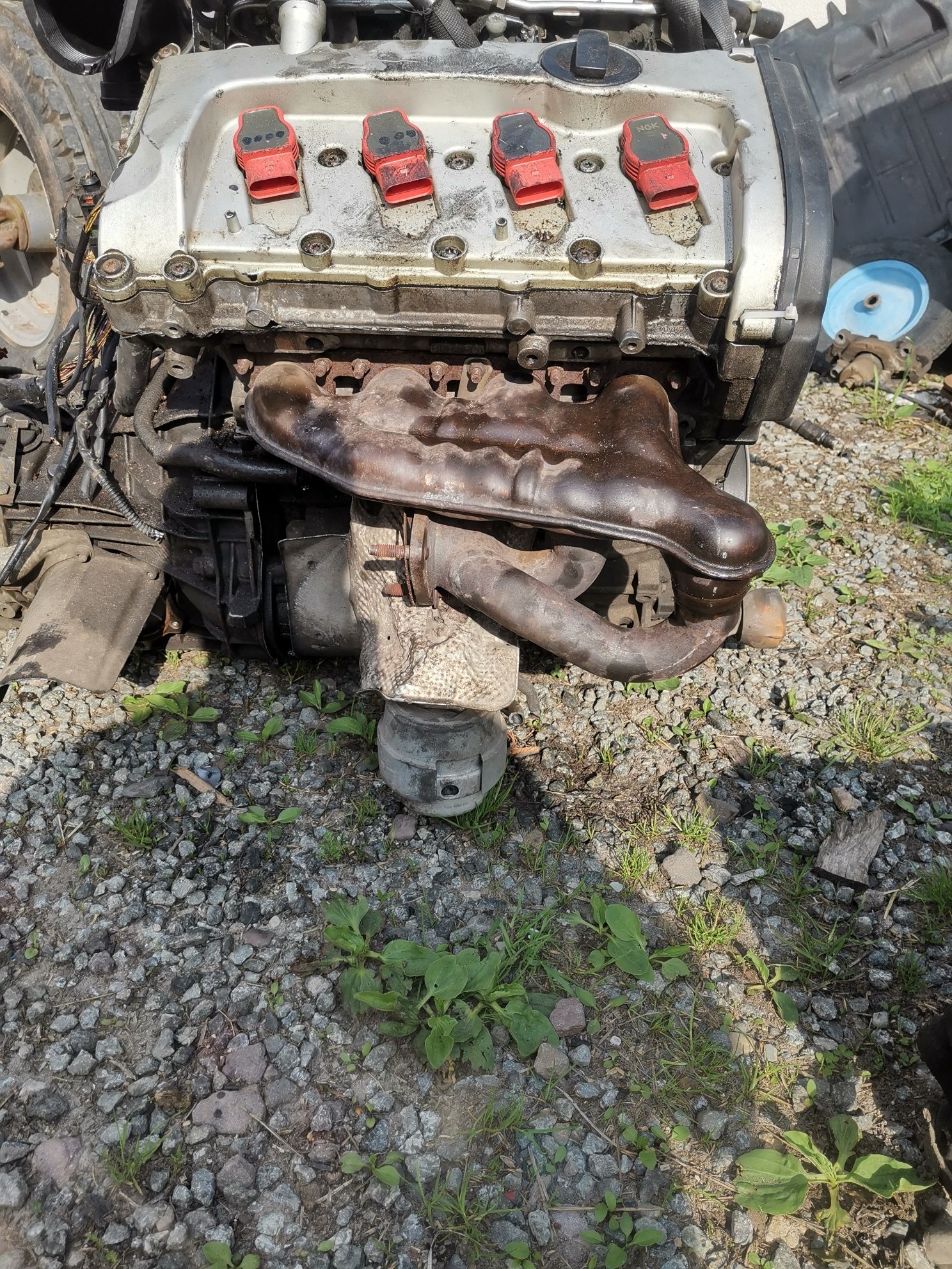 Audi a4 b6 b7 kompletny silnik 2.0 ALT 14 Bar ciśnienia