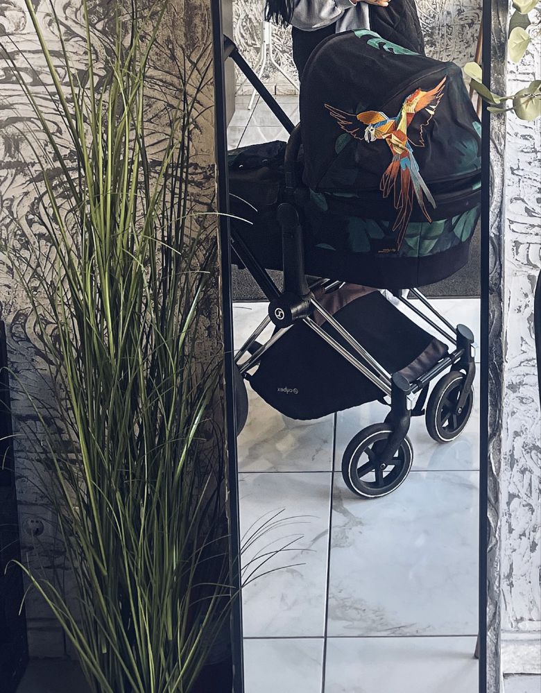 Коляска Cybex Priam birds of paradise