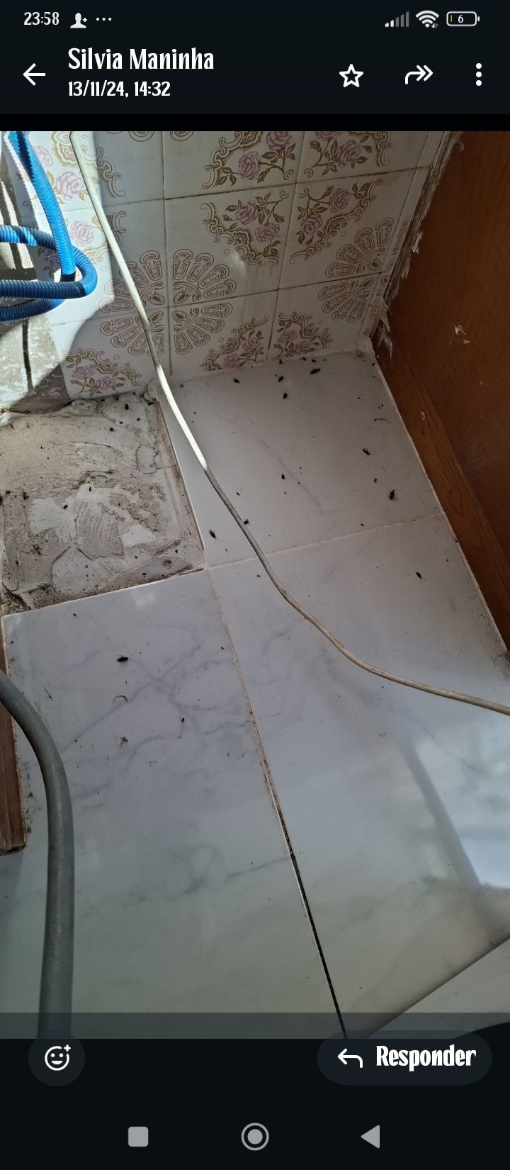 Desinfestacao, baratas e percevejos