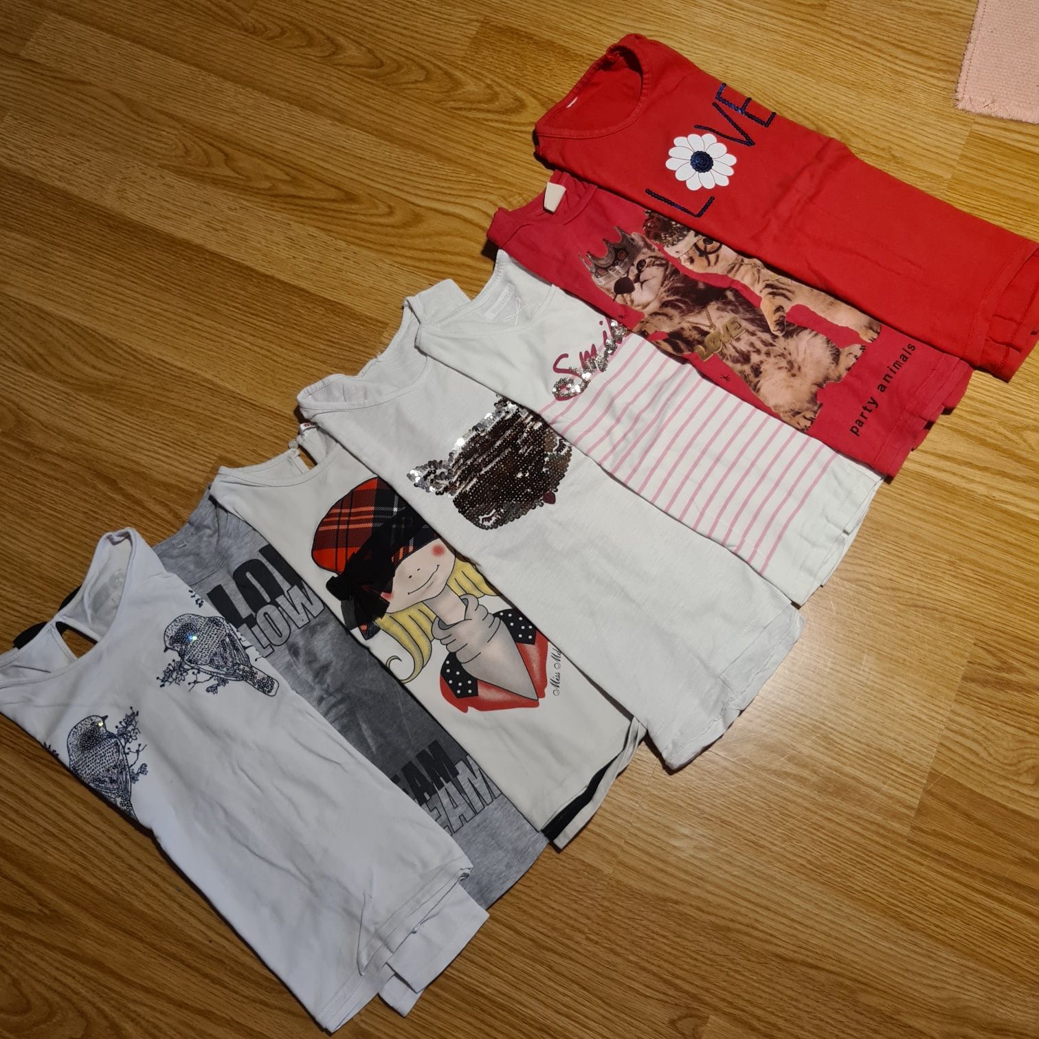 Lote de t-shirts e sweats variadas