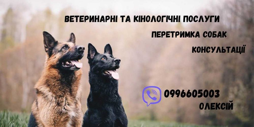 Ветеринарні послуги, консультації по харчуванню , дресерування собак