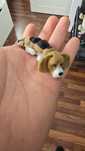 Brelok pies beagle
