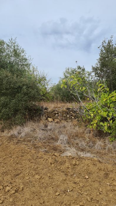 Terreno em valhascos Sardoal