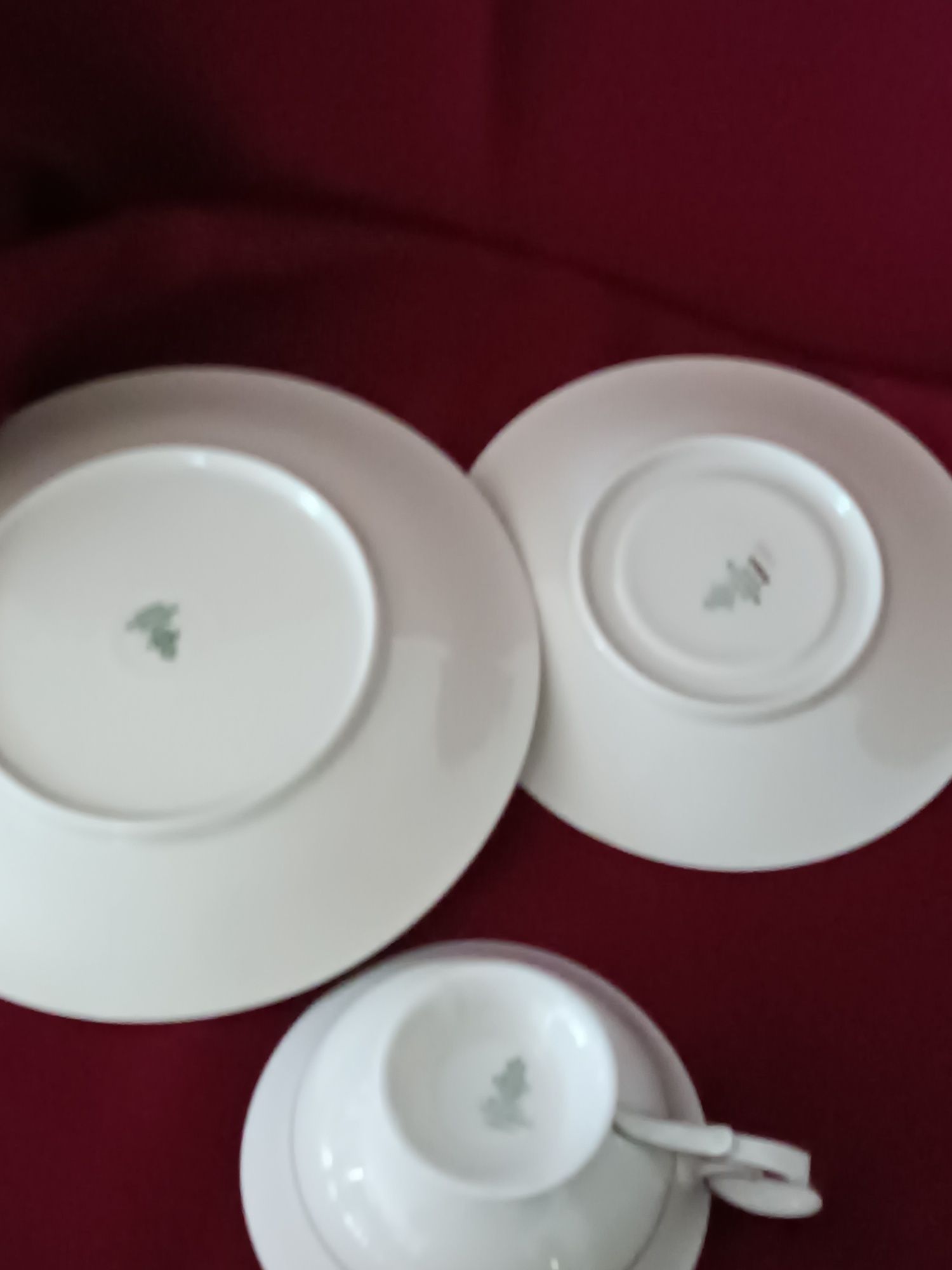 Porcelana Tirschenreuth. Przepiękne trio. Filiżanka i talerzyki