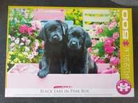 Puzzle eurographics 500 black labs in pink box pieski labradory