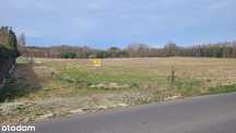 DZIAŁKI BUDOWLANE 34200 m2   Buczek k/ Szczecinka
