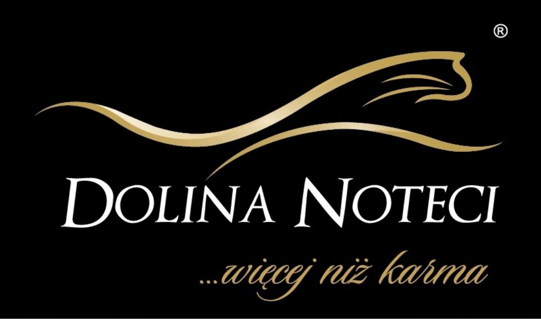 Dolina Noteci Rafi Classic 10x1250g Mix Smaków Mokra karma dla psów