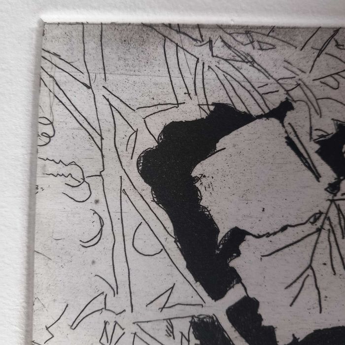 Gravura em "talha doce " prova de autor