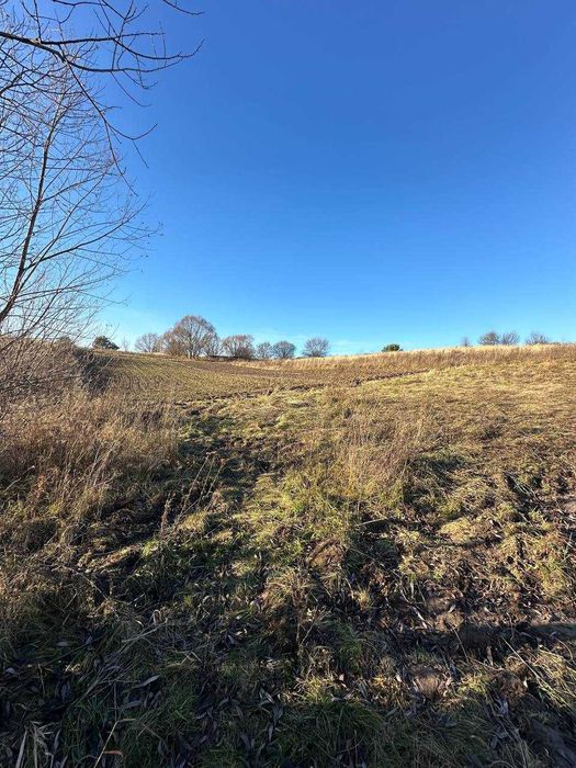 Ділянка 25 сот.с.Вороців