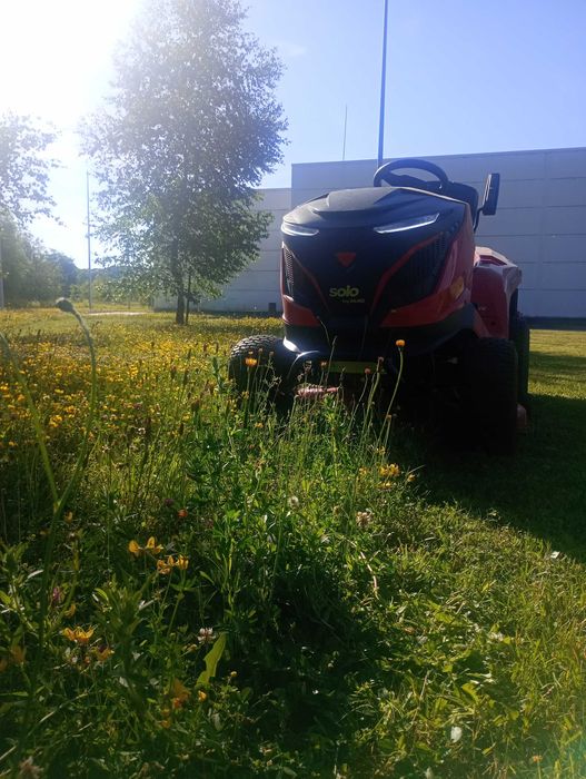 Koszenie traw, trawników, sprzątanie