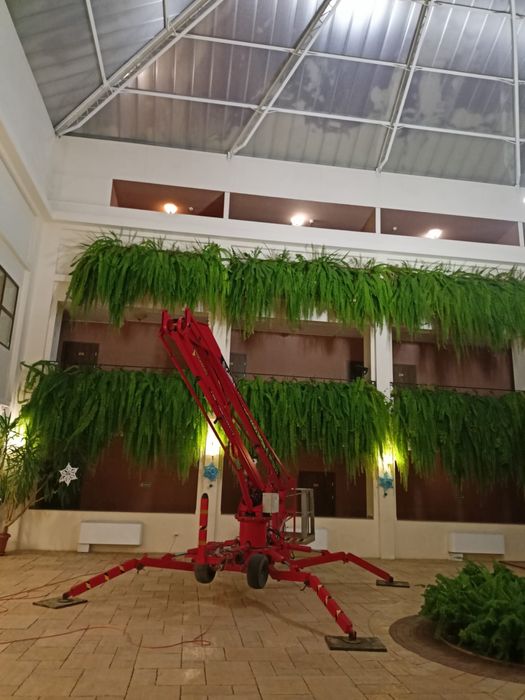 Zwyżka wynajem na doby 15m | 17m | 25m - Rzeszów, Przemyśl