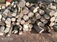 Drewno drzewo opałowe cena za 1 m3