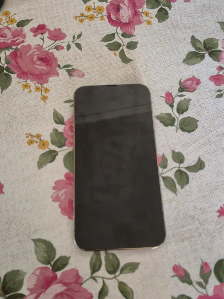 iPhone 13 Pro Max 256Gb