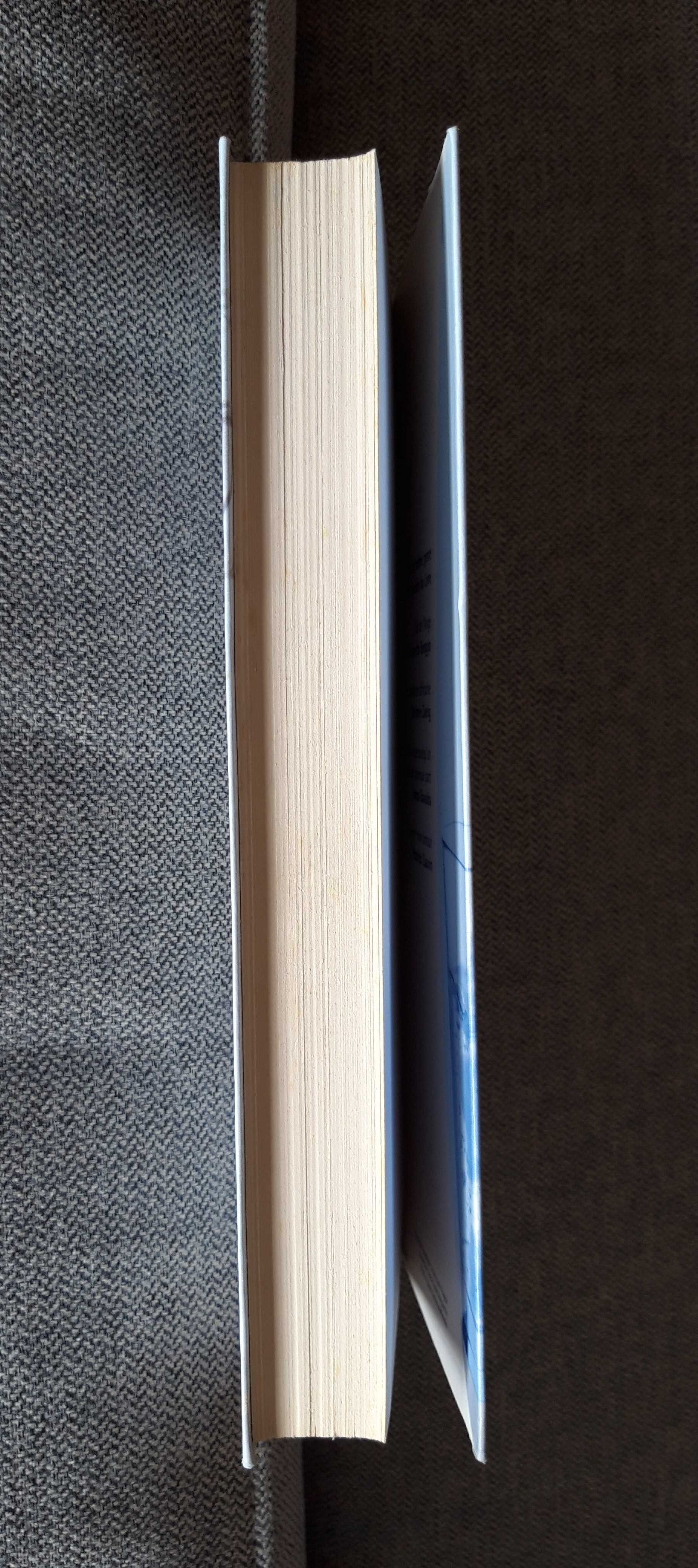 Livro "L'épopée du buveur d'eau" de John Irving