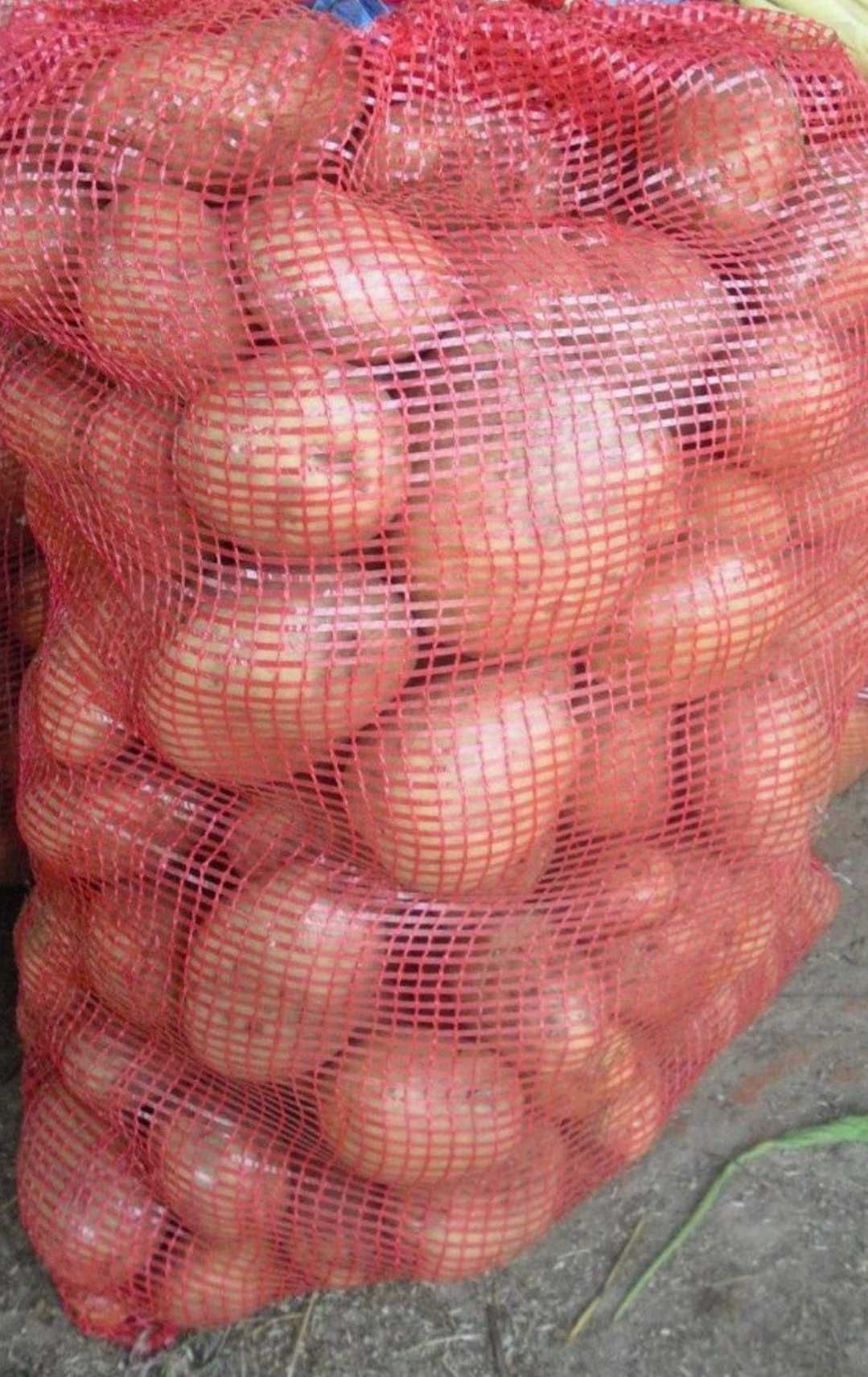 Batatas Vermelhas