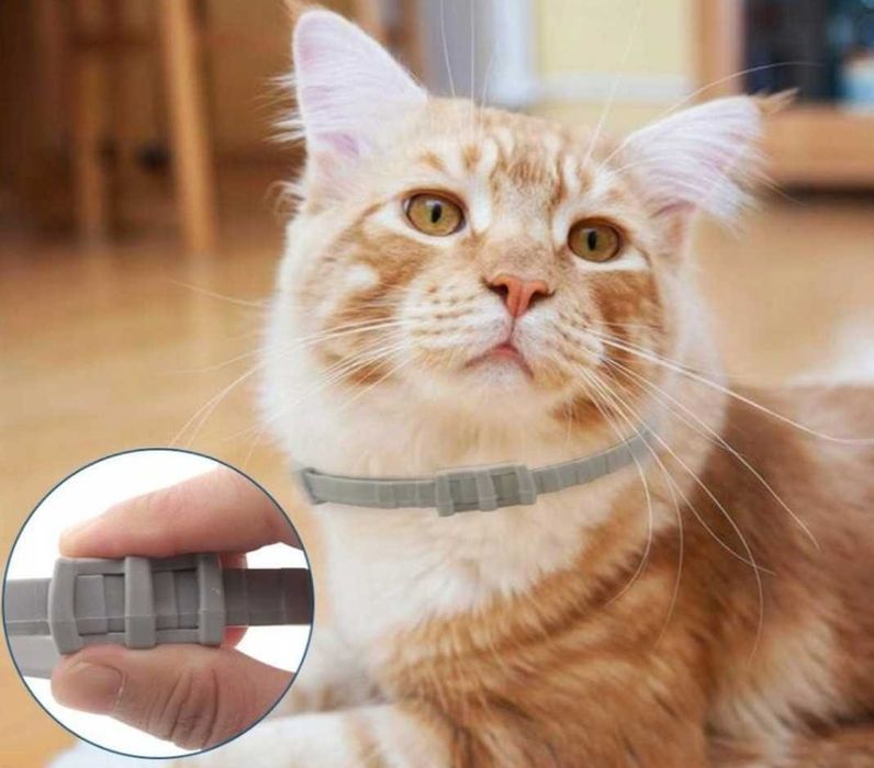 Obroża Na Pchły Kleszcze Dla Kota Na Pasożyty  8 Miesięcy 38 Cm