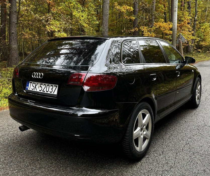 AUDI A3 8P 1.6B MPI 102KM