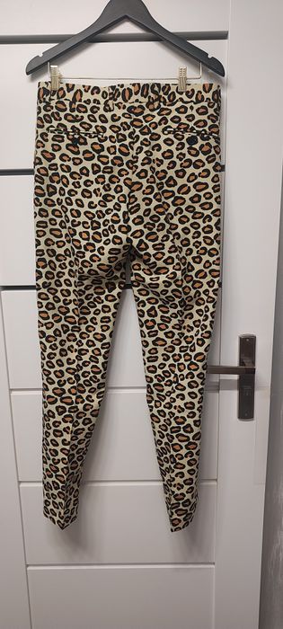 Męski garnitur Oppo Suits