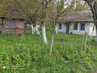Продам будинок  у селі Калиня