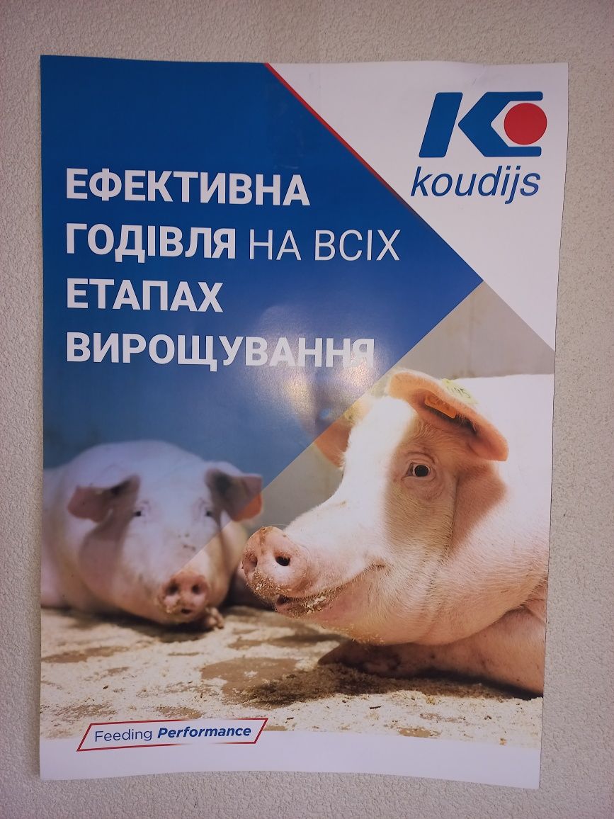 Премікси для свиней