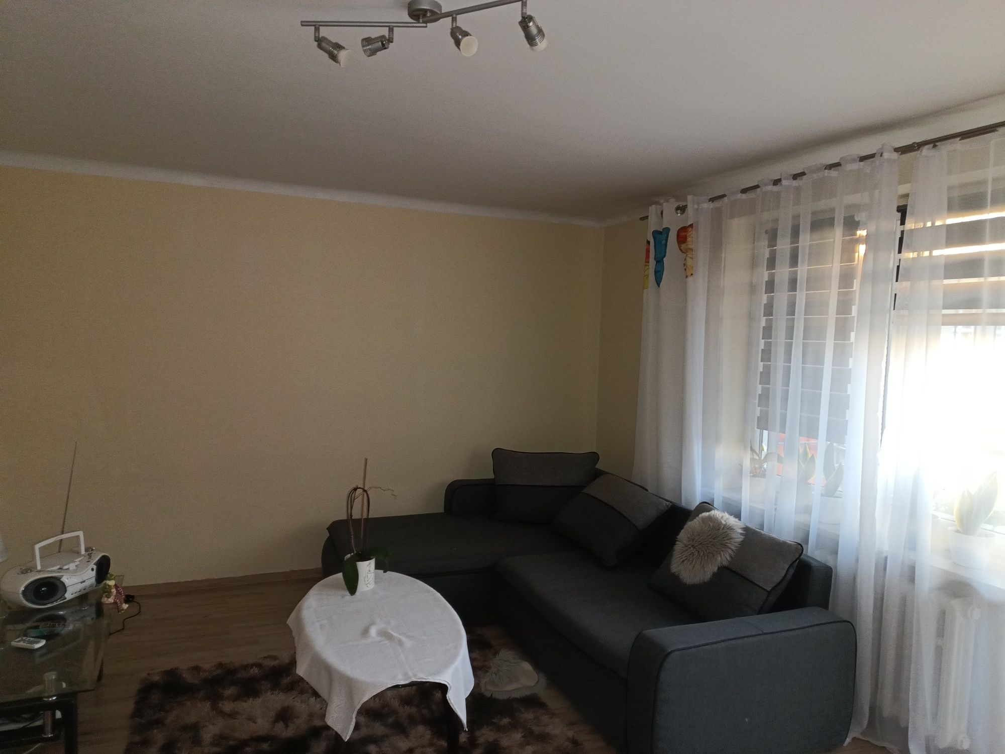 Mieszkanie dwupokojowe w centrum miasta