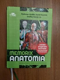 Memorix anatomia