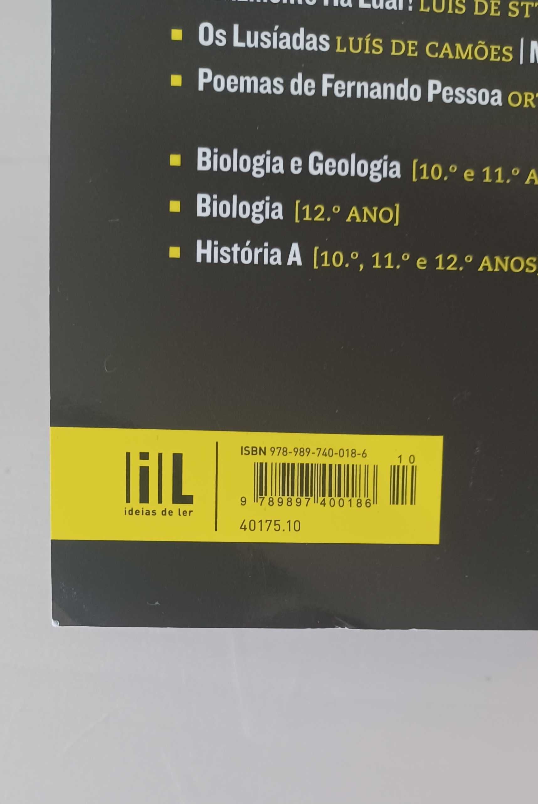 Auto da Barca Inferno - 9º ano - Resumo
